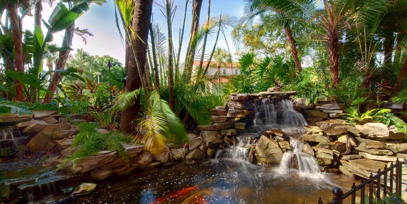 A tropical garden features a small waterfall feeding a pond with colorful koi fish, surrounded by tall palms and lush greenery.